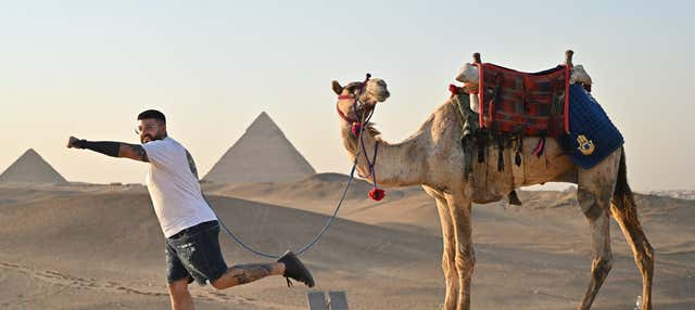 Great Pyramid of Giza Grand Egyptian Museum Bus Day Trip