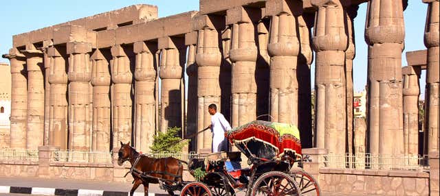 Luxor Tour by Horse-Drawn Carriage