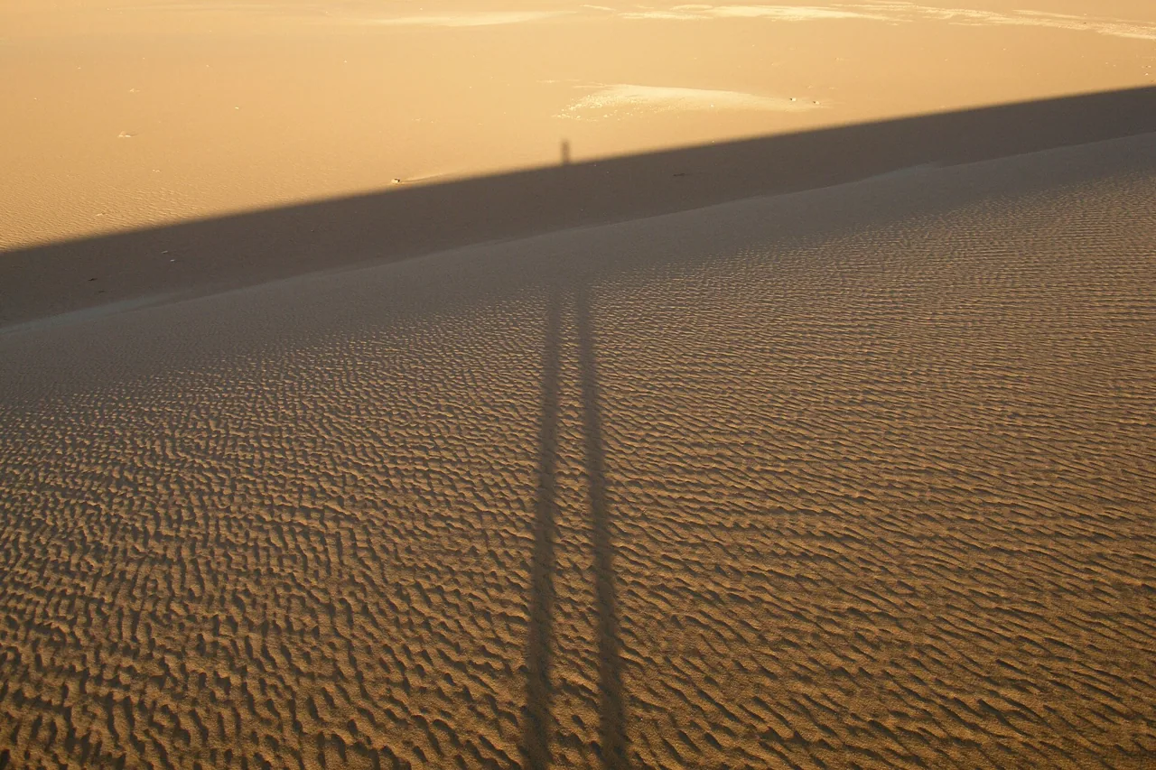 Vehicle tracks running across a rippled sand dune
